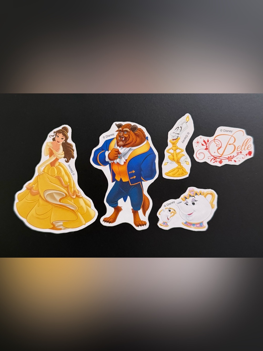 Disney Princess Beauty and the Beast Decorative Magnets